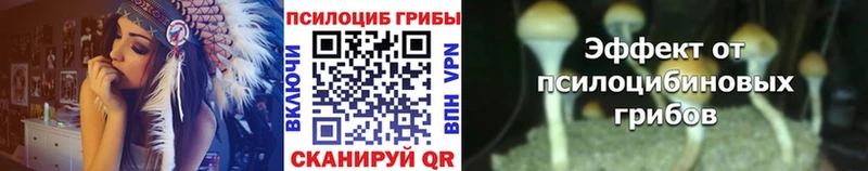 Галлюциногенные грибы мухоморы  Северобайкальск 