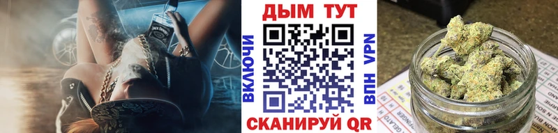 Бошки Шишки конопля  MEGA   Северобайкальск  где купить  